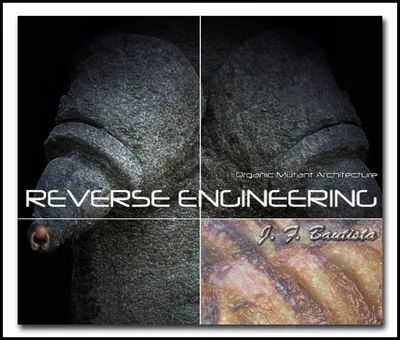 Reverse Engineering