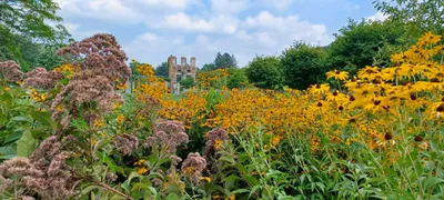 Holliday Park, Indianapolis, IN