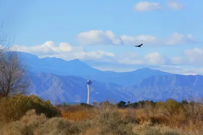 Wetlands Park, Las Vegas, NV