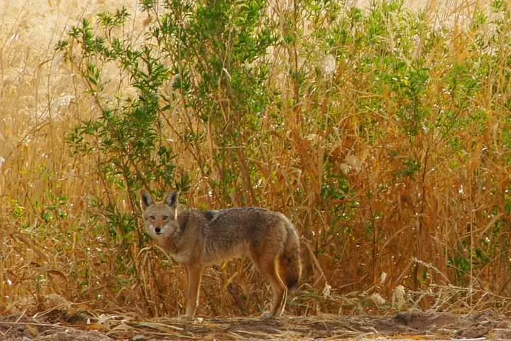 Wetlands Park, Las Vegas, NV