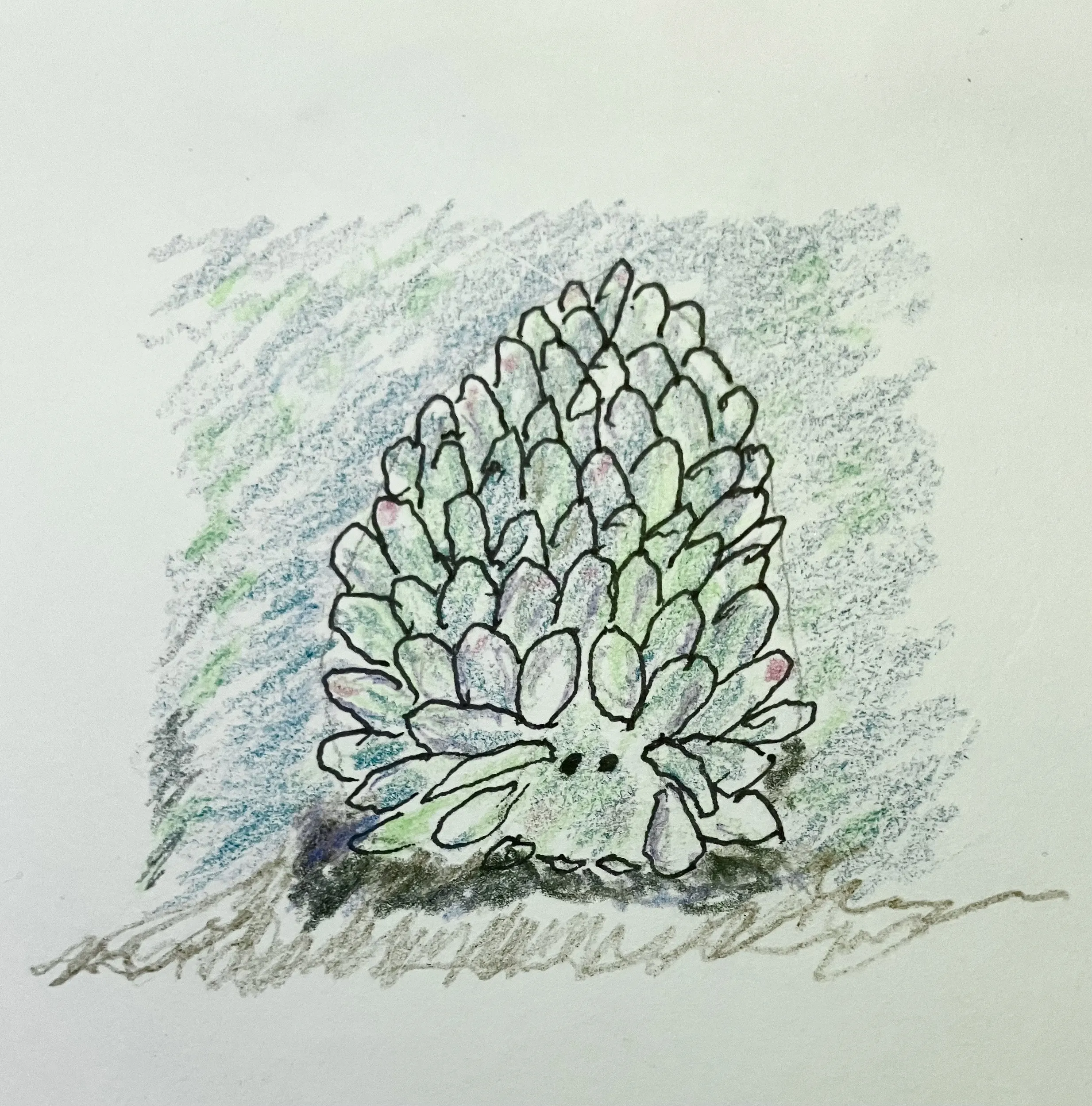 Animal #9 Leaf sheep sea slug