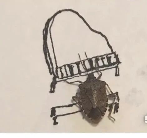 Stink Bug Jazz Band #2
