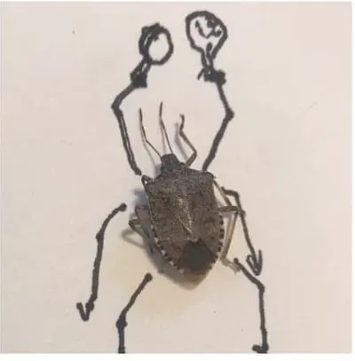 Stink Bug Jazz Band #4