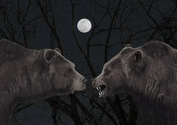 Grizzly Night