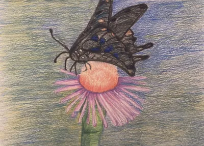 Black Moth Greeting Card