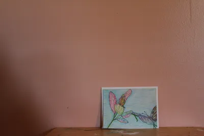 Spring And Butterfly's