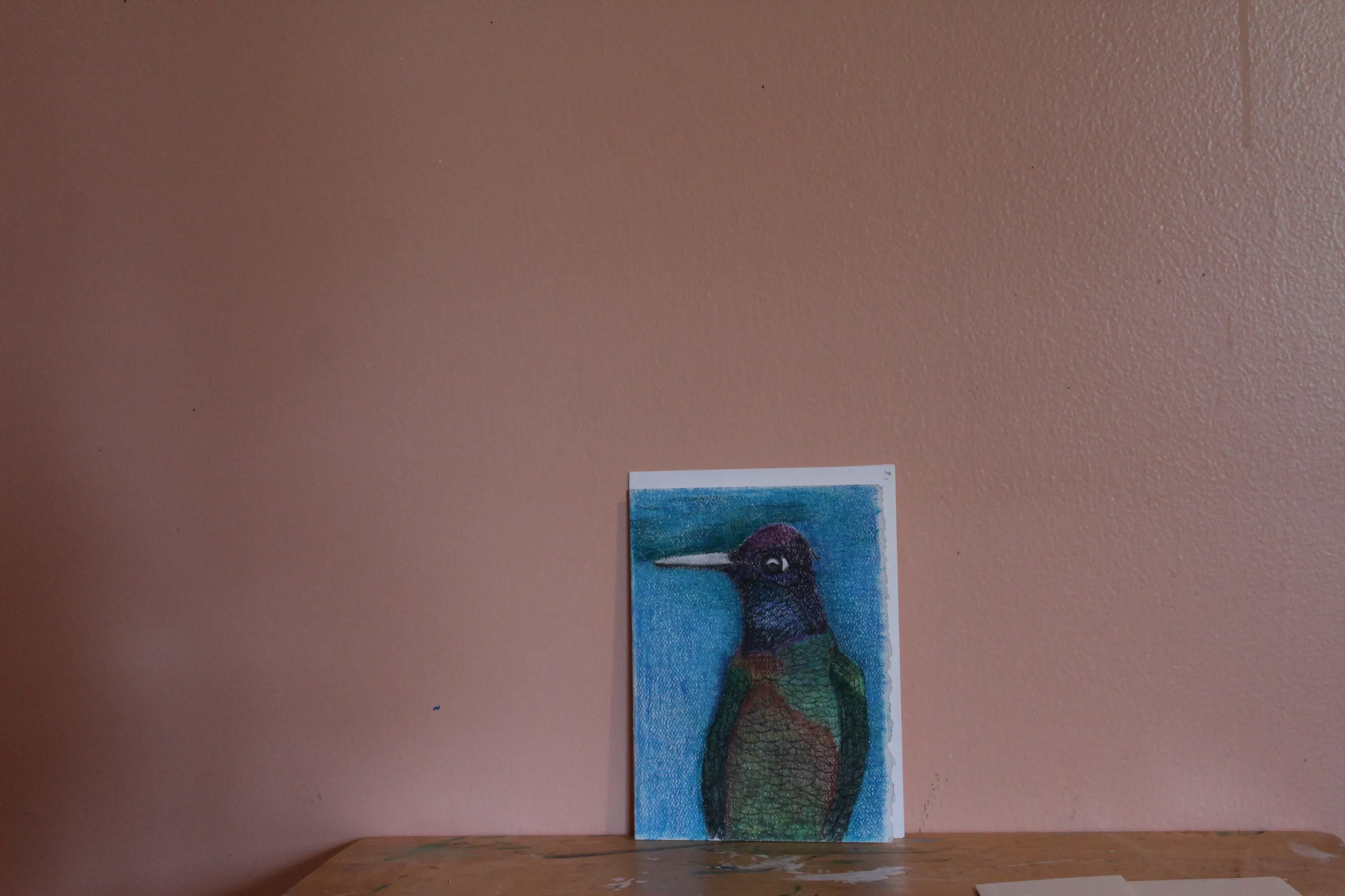 The Colorful Humming Bird