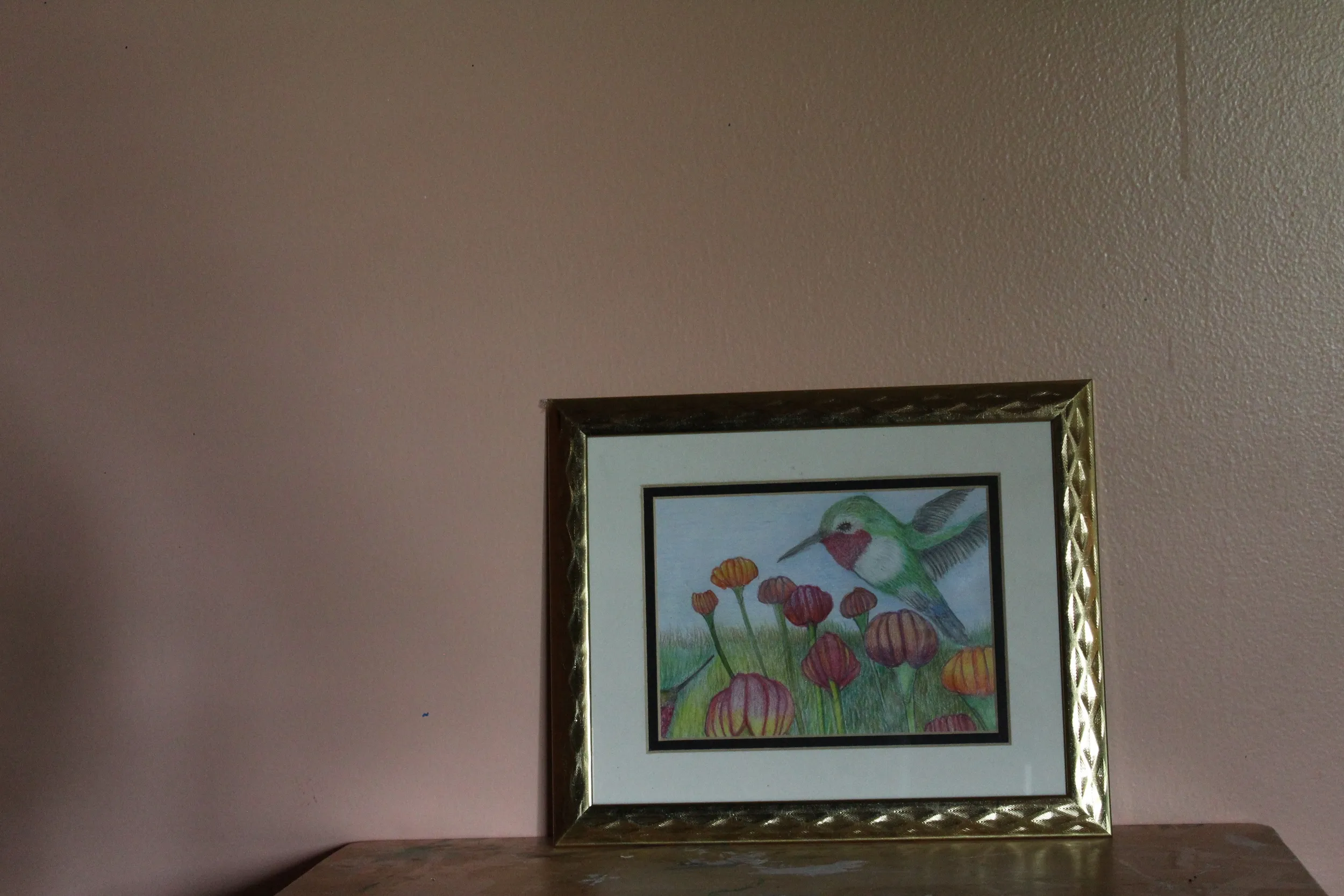 Humming Bird Feeding