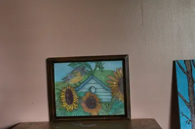 The Bird House In Camo