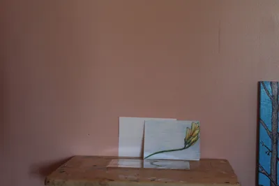 Simple Comforts And Relaxation