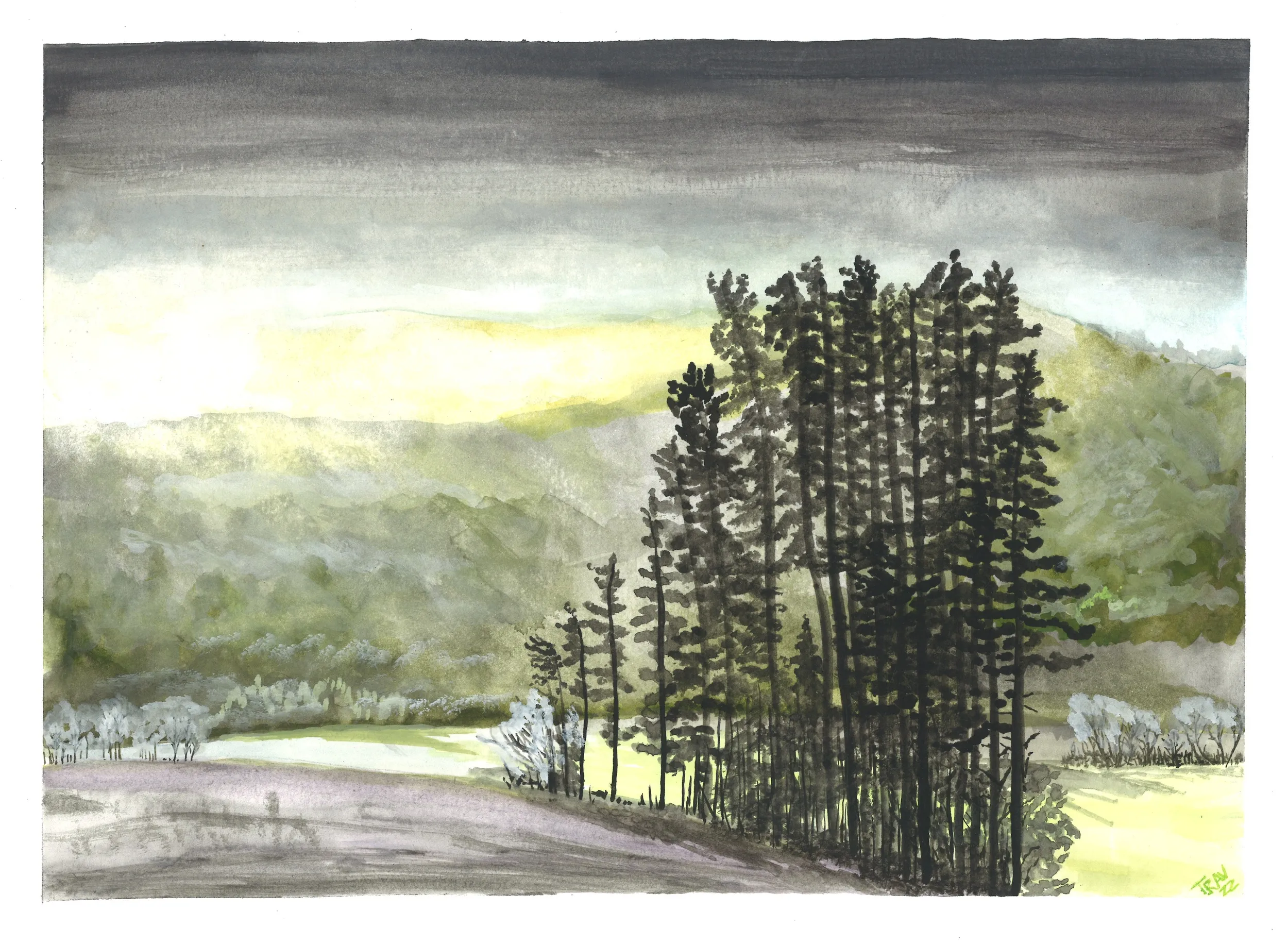 Misty Morning In Vermont