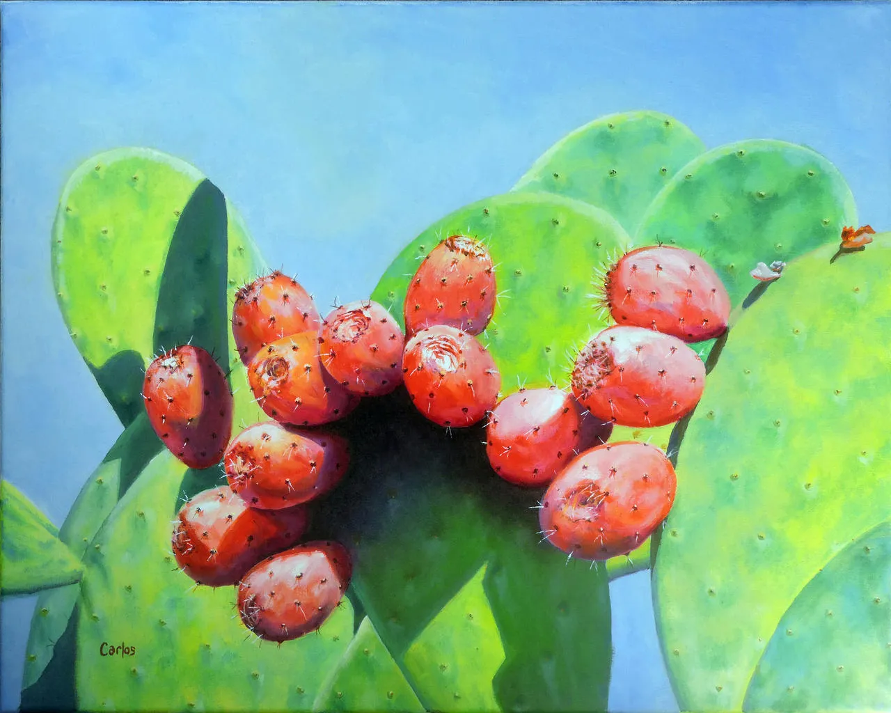 Prickly Pears