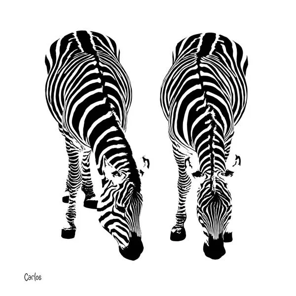 Zebras