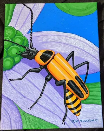 Soldier beetle