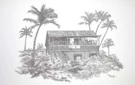 Kona House