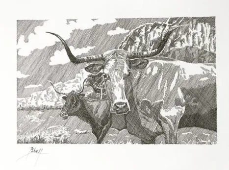 Longhorns