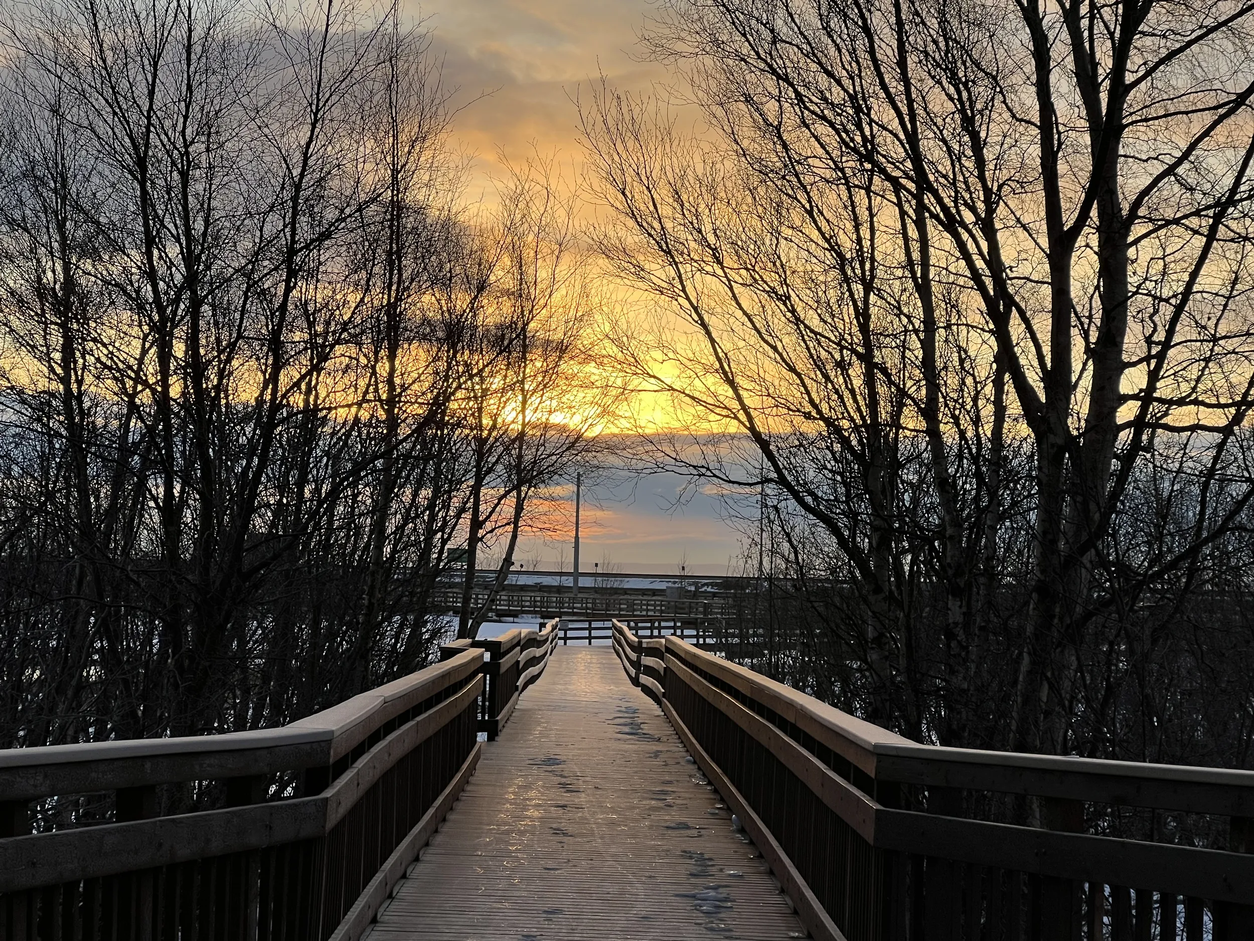 Potter's Marsh Sunset (photo)