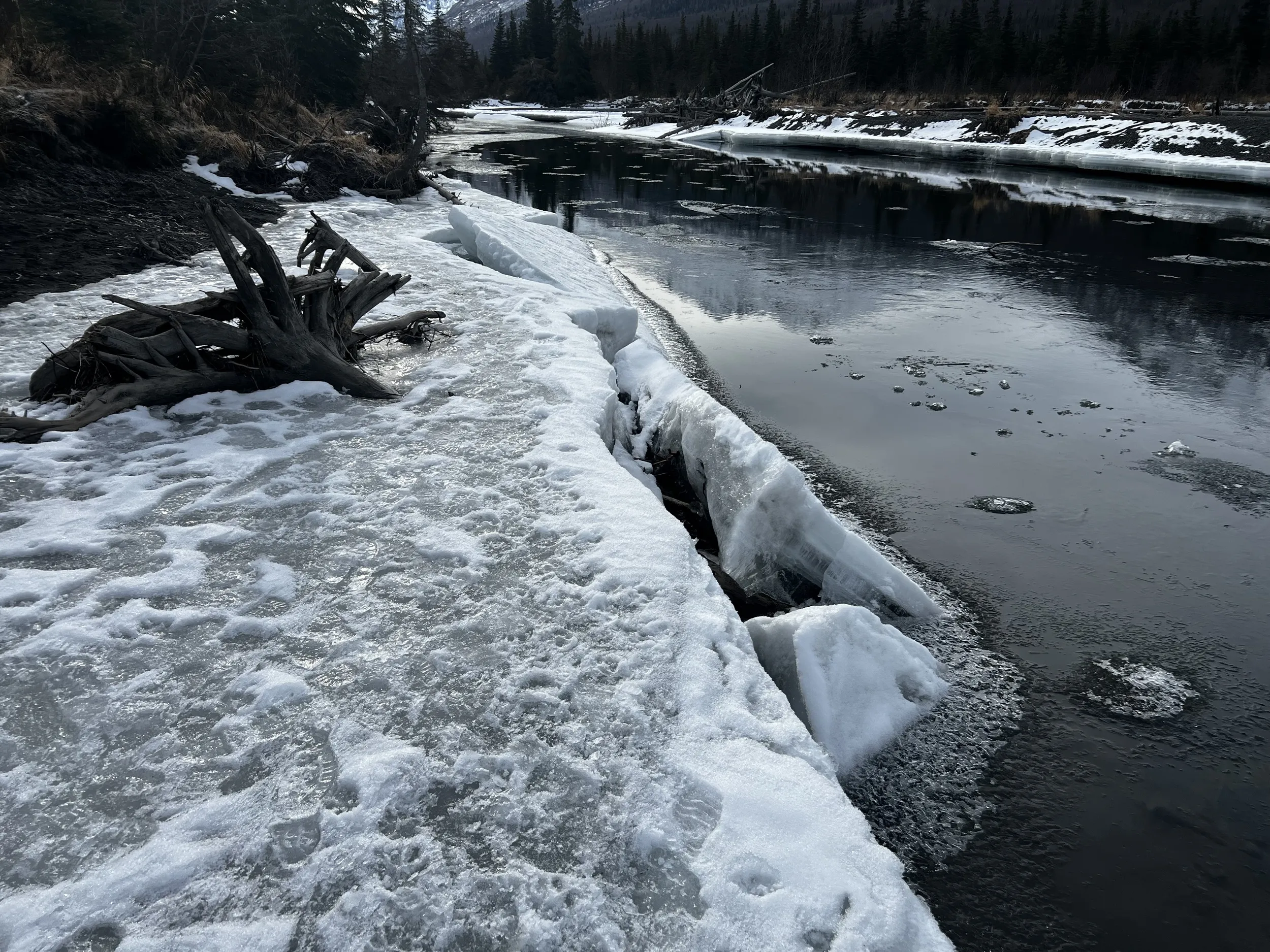 Winter in Alaska (photo)