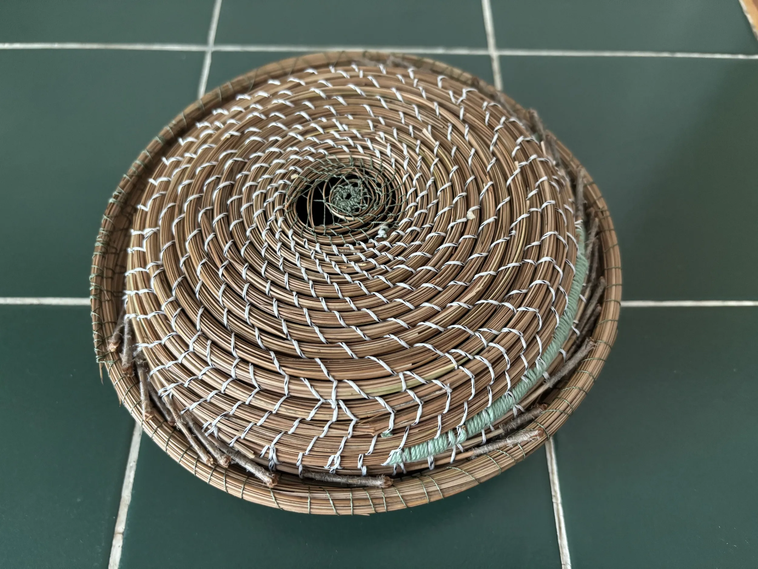 “Trout w/lid” (Fly line, flies and pine needles)