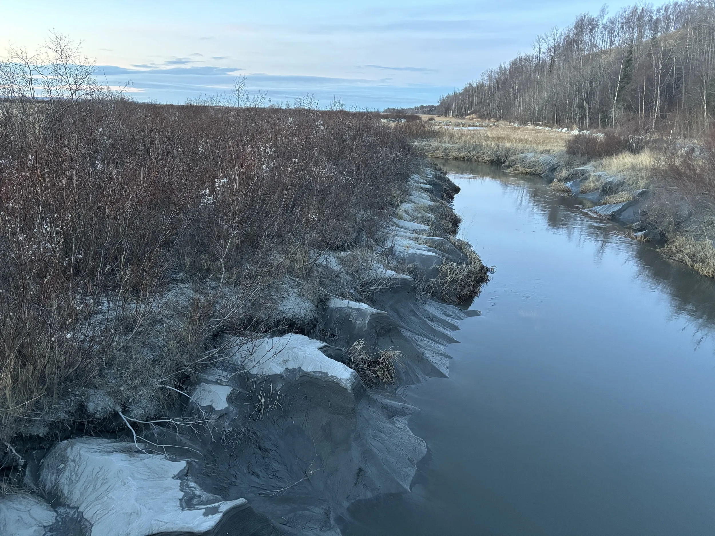 Palmer-Hayflats Refuge