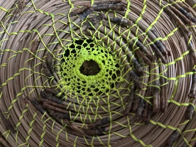 AHH auction (donated)