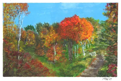 Autumn on Old Stagecoach Road